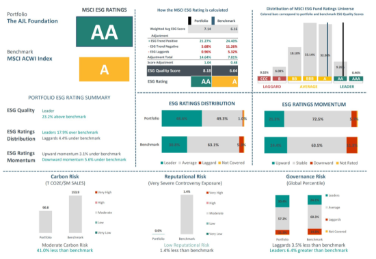 ESG rating